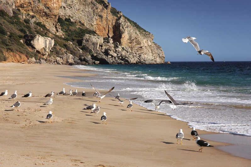 Refugio De Zimbra